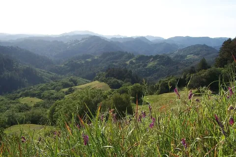 Photo of Austin Creek State Recreation Area