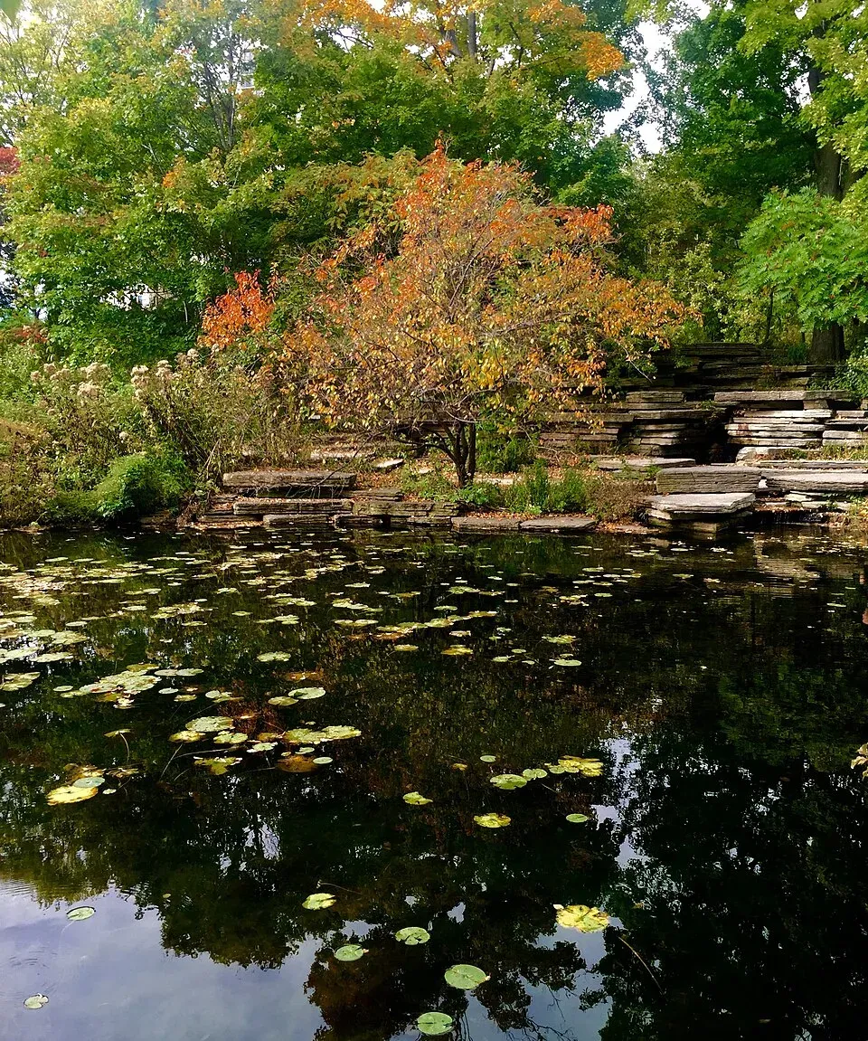 Alfred Caldwell Lily Pool, Chicago