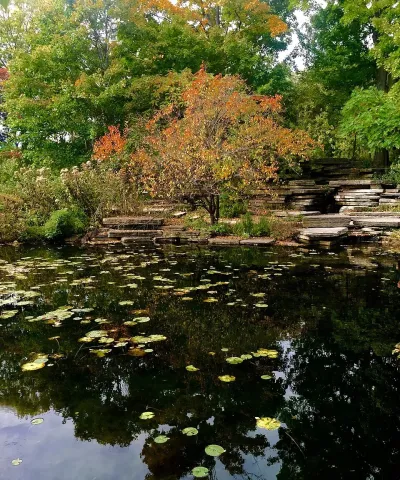 Alfred Caldwell Lily Pool