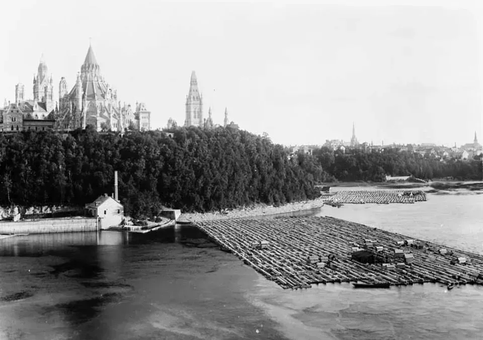 River Timber, Austin