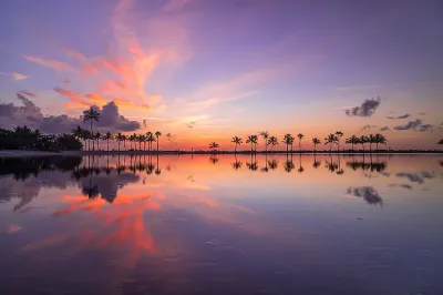 Matheson Hammock Park & Marina