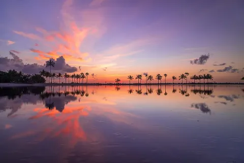 Photo of Matheson Hammock Park & Marina