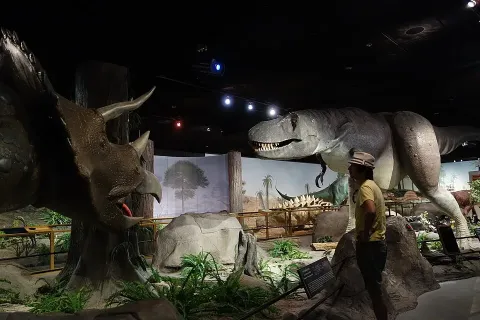 Photo of Las Vegas Natural History Museum