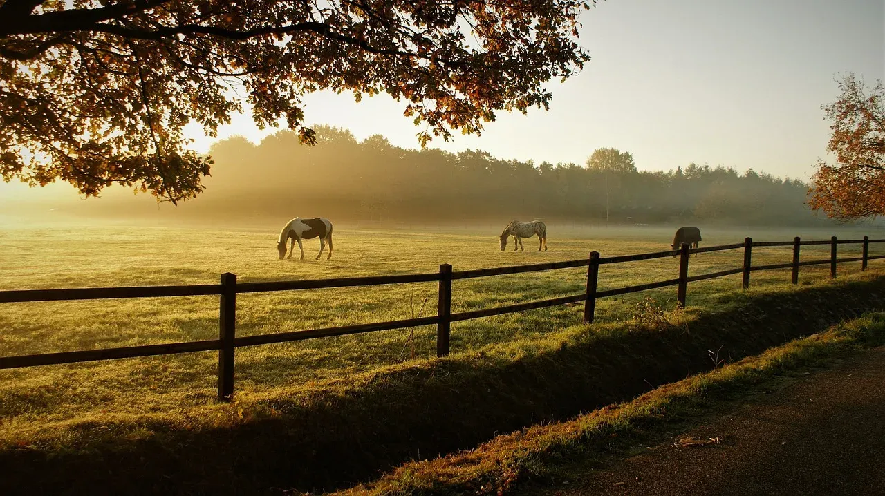 Dawn Ranch, Guerneville