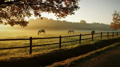 Dawn Ranch