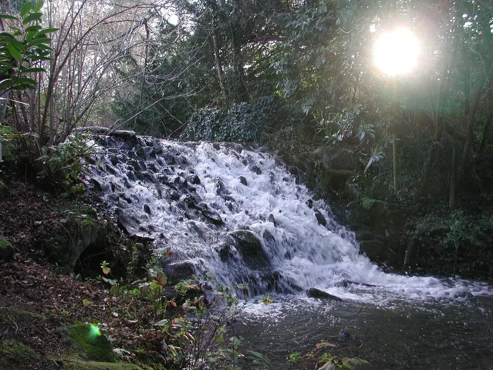 Marlay Park, Dublin