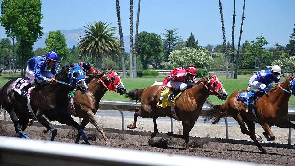 Alameda County Fairgrounds, Pleasanton