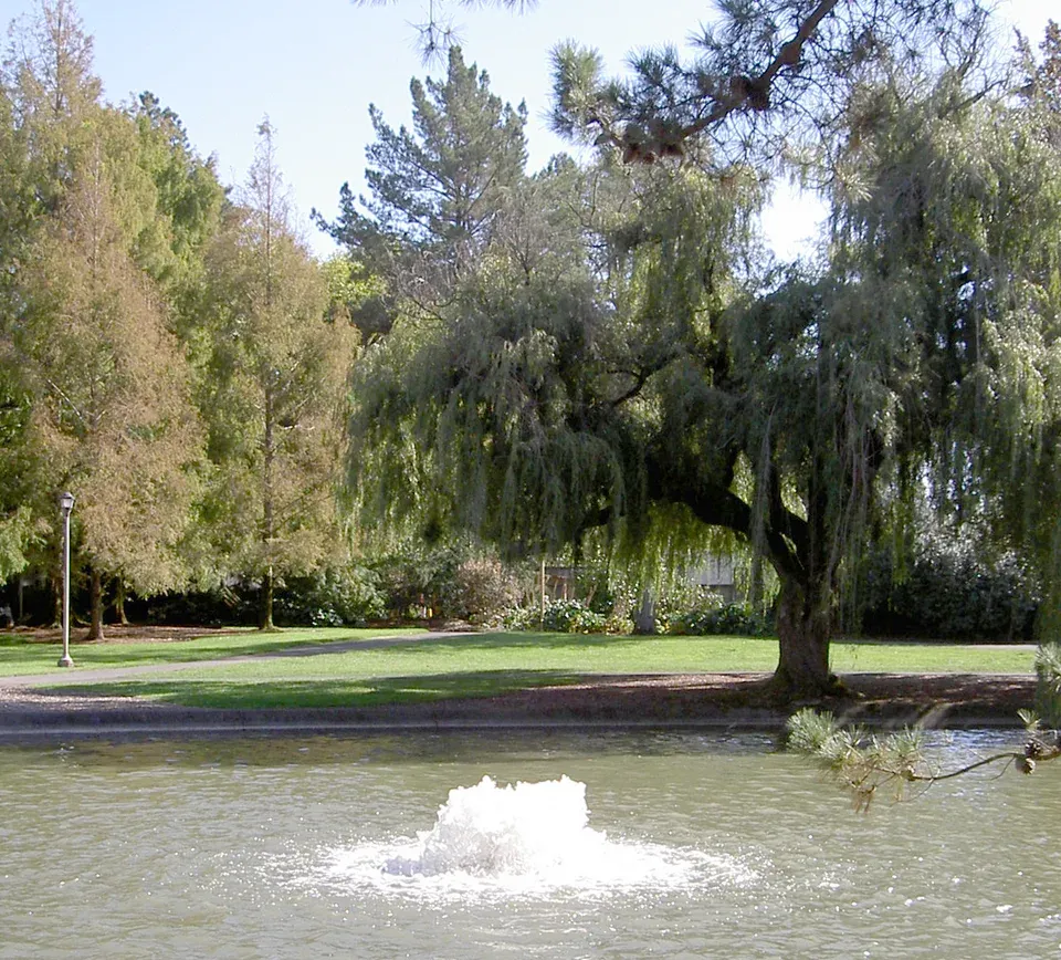 Weill Hall At Green Music Center, Rohnert Park