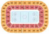 Greenville Swamp Rabbits vs. Atlanta Gladiators