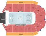 Bloomington Bison vs. Wheeling Nailers