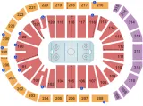 Atlanta Gladiators vs. Norfolk Admirals