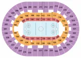 South Carolina Stingrays vs. Atlanta Gladiators