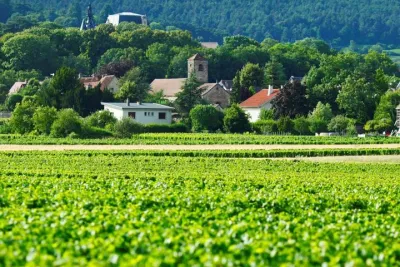 Burgundy 2 Day Private Tour from Paris