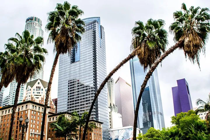Private Los Angeles Layover Tour with Pickup