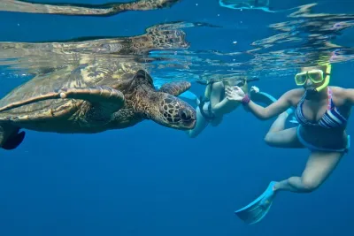 Private Beginner Paddleboard Lesson with Snorkel in Turtle Town