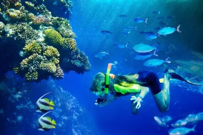 Lanai Snorkel and Dolphin Watch from Maui