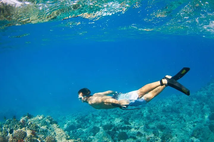 Snorkel and Catamaran Sail
