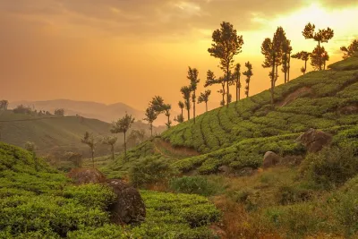 Kerala Highlights in 5 Days Kochi Alleppey Backwaters and Munnar