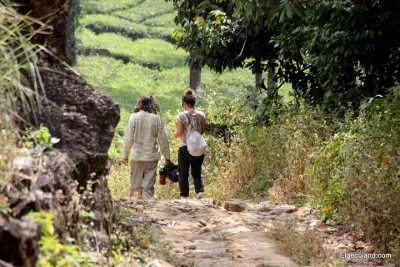Half day trekking at Letchmi Hills in Munnar