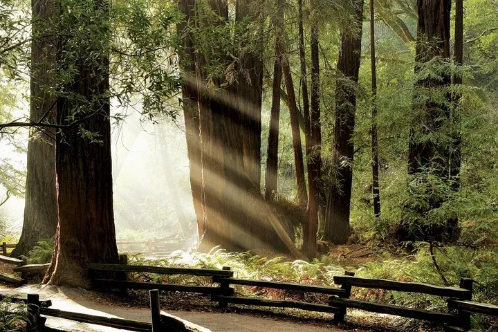 Muir Woods & Napa/Sonoma -6-8hr-Private Scenic Wine Tour From SF
