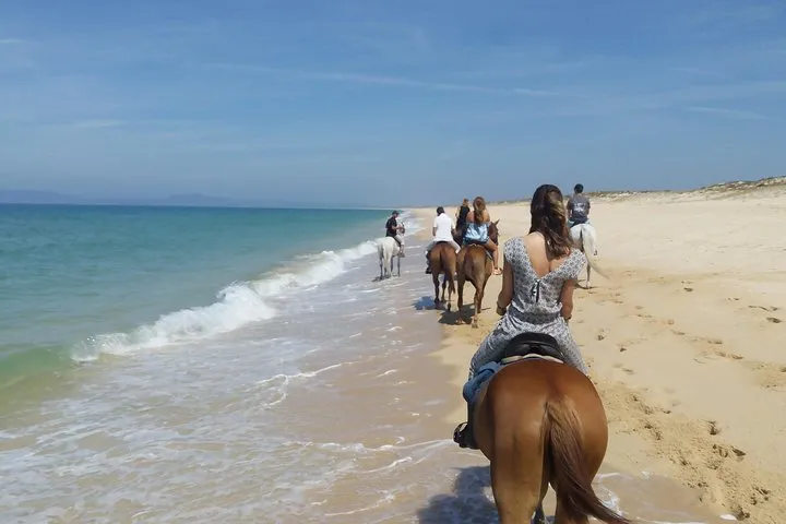 Horse Riding on the Beach Tour