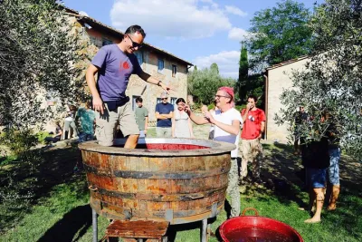 Discover Organic and Biodynamic Chianti Small Wineries