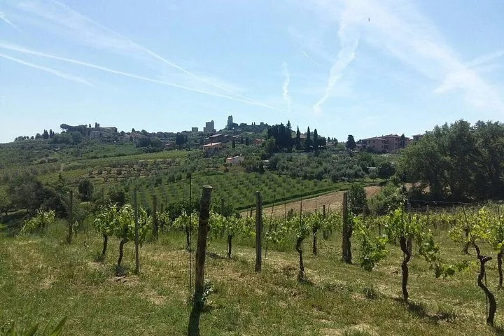 San Gimignano, Saffron and Vernaccia Wine from Florence