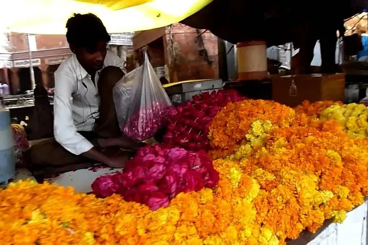 An Early Morning Glimpse of Life In Jaipur