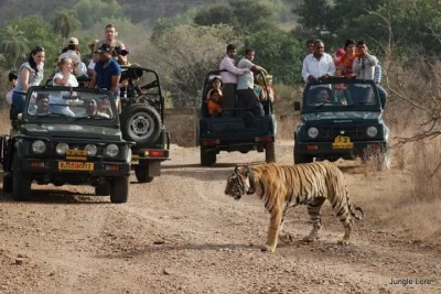 7-Night Private Tour of India's Golden Triangle, Palaces, and Tigers