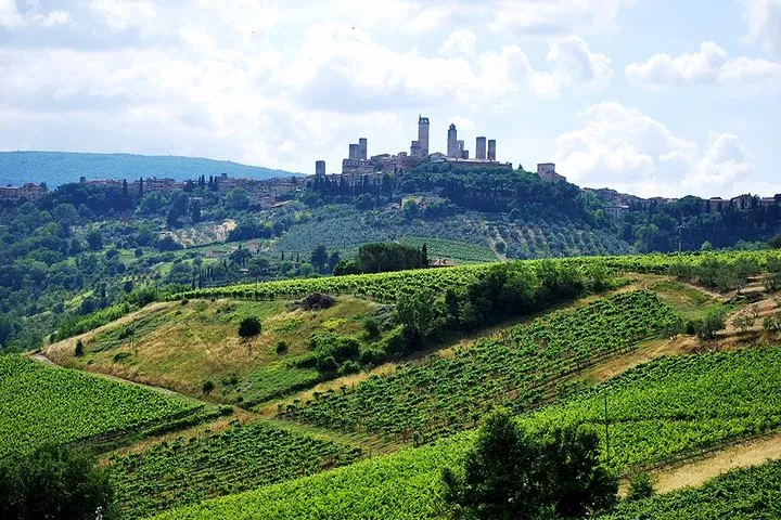 San Gimignano and Chianti Classico Wine and Food PRIVATE TOUR from Florence
