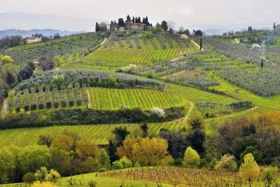 Private Tour Tastes of Tuscany: Pisa, Siena and Chianti
