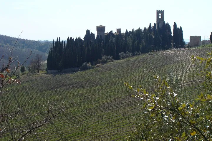 Florence Day Trip to Chianti and San Gimignano