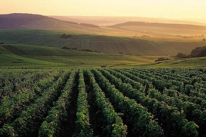 Private Full-Day Tour of Champagne Region