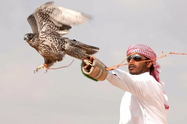 Private Desert Safari with Private Falcon Show with Sunset setup experience