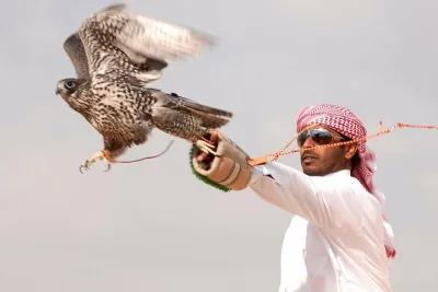 Private Desert Safari with Private Falcon Show with Sunset setup experience