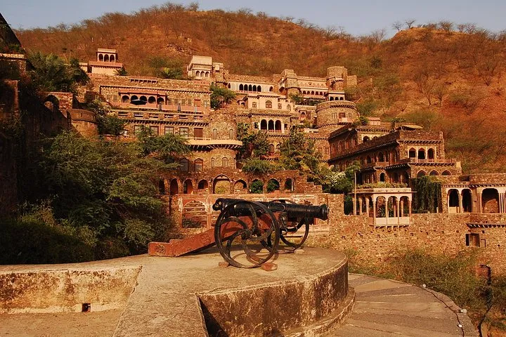 Private Custom Day Tour: Neemrana Sightseeing with Lunch