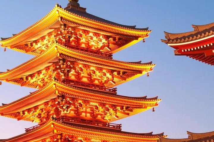 Best of Tokyo Private Custom Tour: Tsukiji, Asakusa & Meiji-jingu