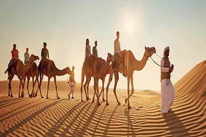 Camel Trekking In Dubai
