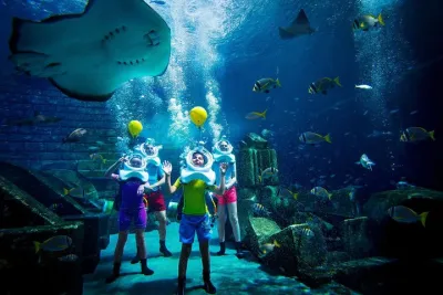 Dubai Atlantis Shark Safari Experience