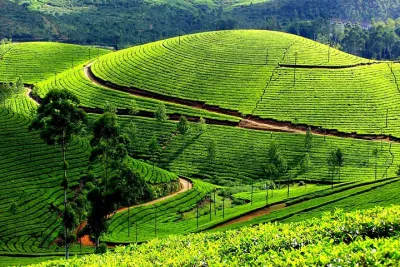 Private 7-Day Kerala Tour with Houseboat Cruise from Delhi with 2-Way Flights