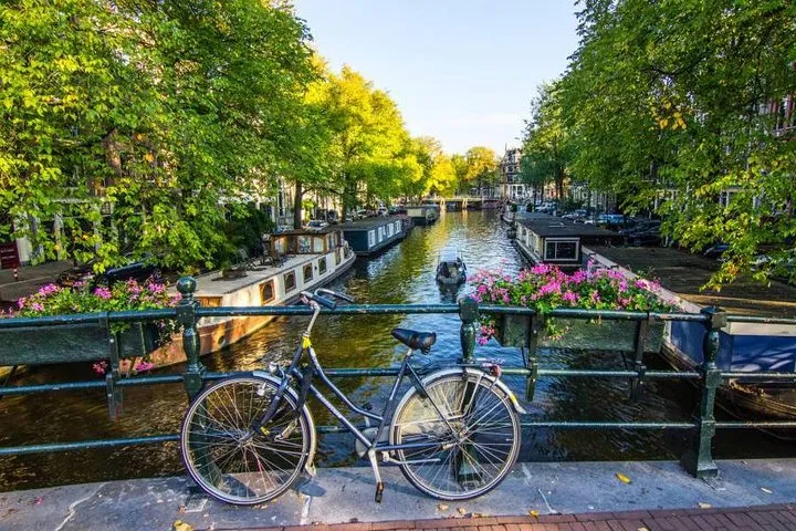 Best of Amsterdam: small-group walking tour (TOP RATED)