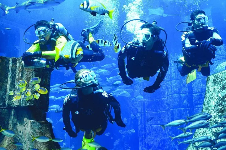 Dubai Lost World Aquarium Dive Discovery