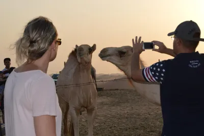 Dubai Desert Safari & Camel Trekking Private Bais