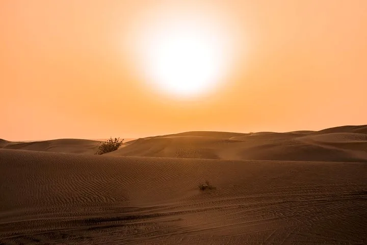Sundowner Dune Safari With Dinner