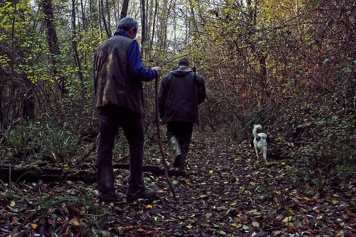 Truffle Hunting in Siena countryside