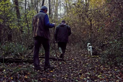 Truffle Hunting in Siena countryside