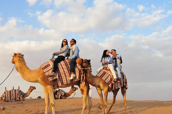 Dubai: Camel Safari, Wildlife & Lakeside Breakfast
