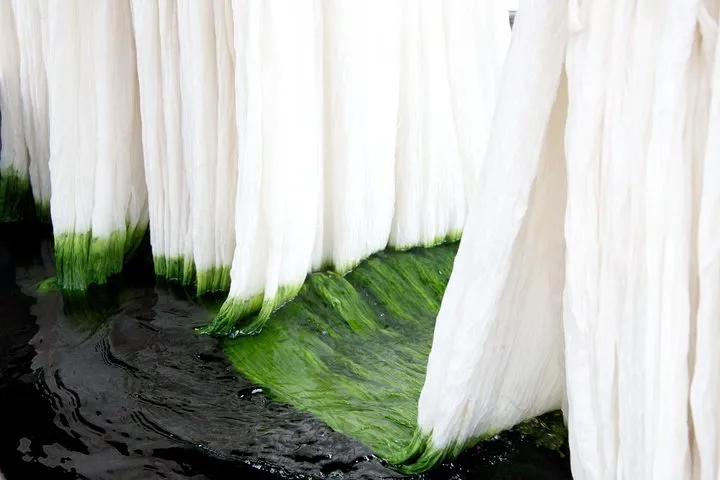 Learn The Art Of Textile Dyeing In Sanganer, Near Jaipur