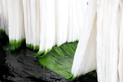 Learn The Art Of Textile Dyeing In Sanganer, Near Jaipur