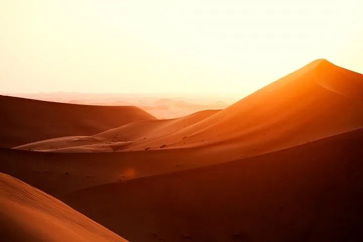 Al Ain City Tour from Dubai Tours & Sightseeing )